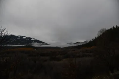 DSC_5762 (Large).JPG